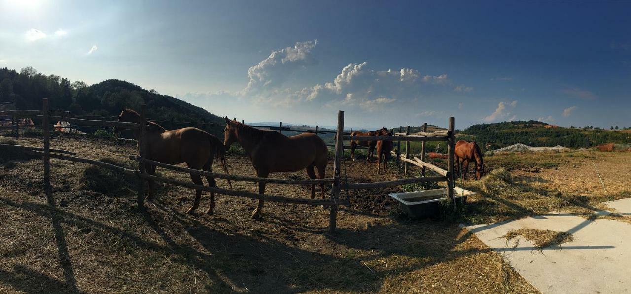 Maison Des Roses - Family Farm Bossolasco Kültér fotó